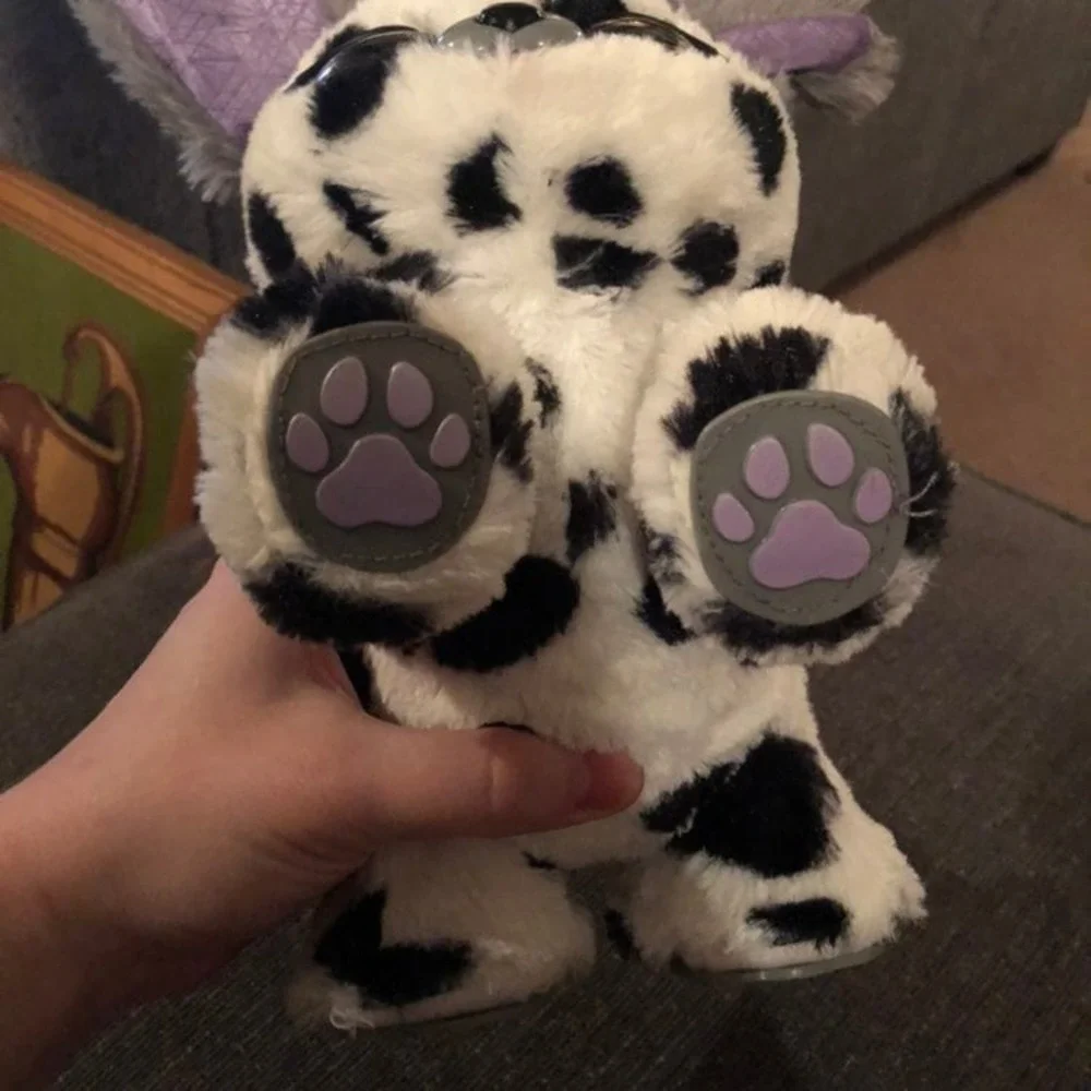 N/A present pets
